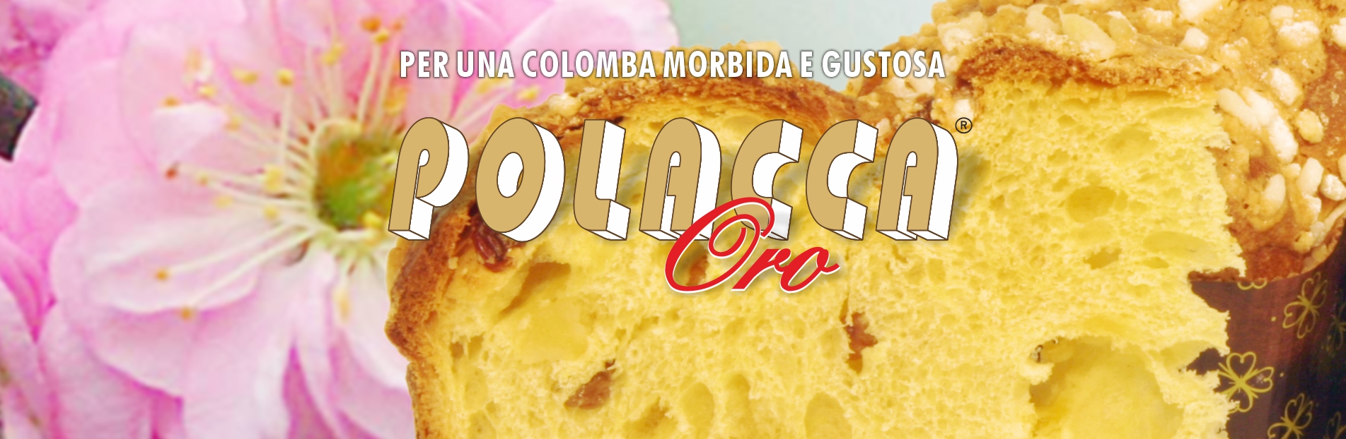 POLACCA ORO PER COLOMBA